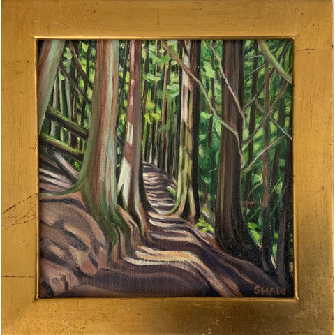 Into the Woods