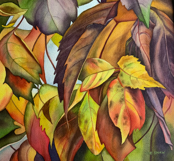 Fall Hops